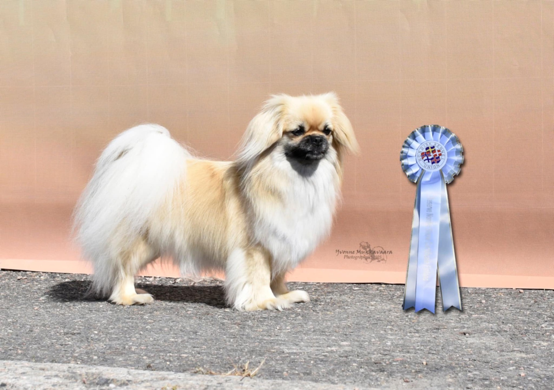 "Ronja" Photo by Yvonne Mukkavaara