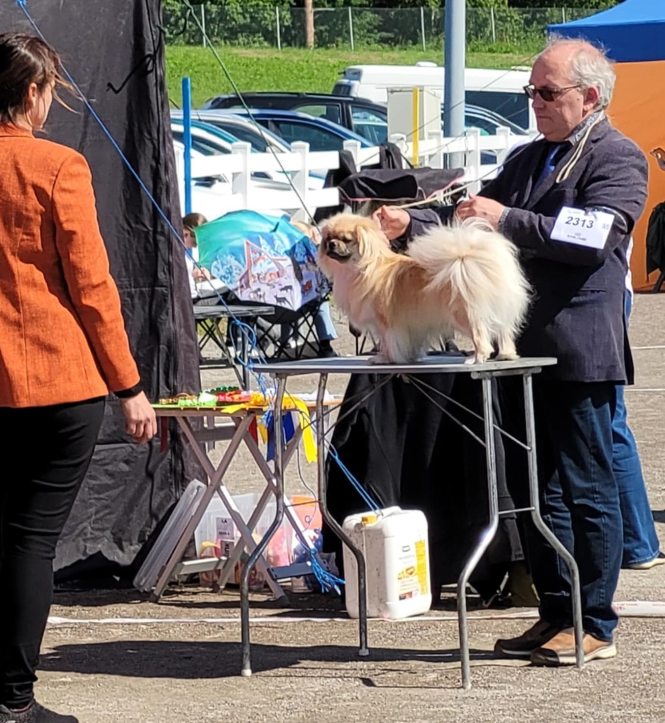 "Tino" and handler Sami Takala